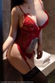 No.1801 妲己_Toxic 蕾丝 黑丝