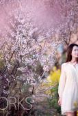 花圃中的白裙女子唯美图