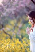 花圃中的白裙女子唯美图