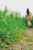 格子裙女子的户外绿野一片