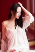 No.355 鱼猫盾i